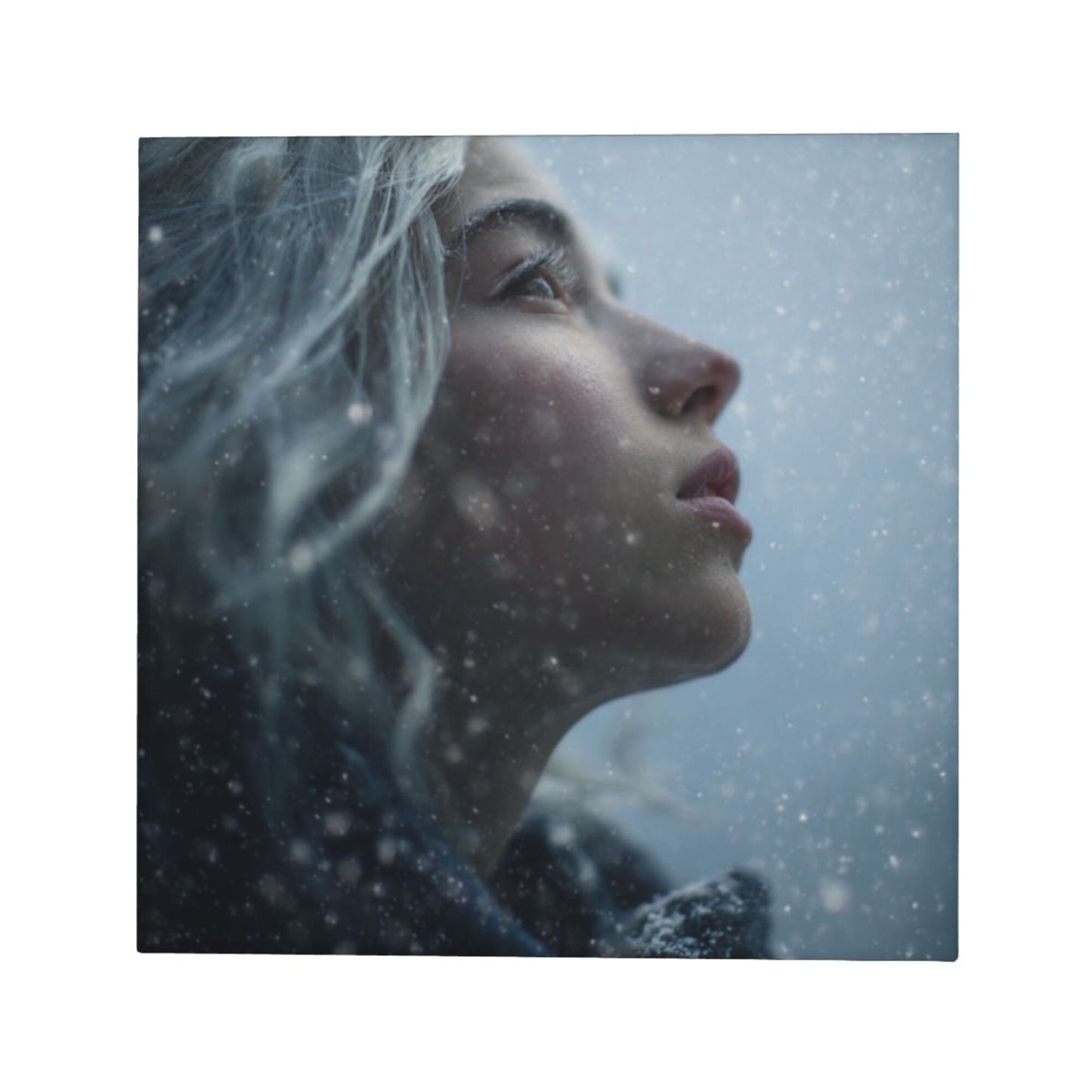 12×12 Inch Canvas Frameless Decorative Painting of Snow - Scene Character Close - up - Create a Quiet Atmosphere Home Wall Art