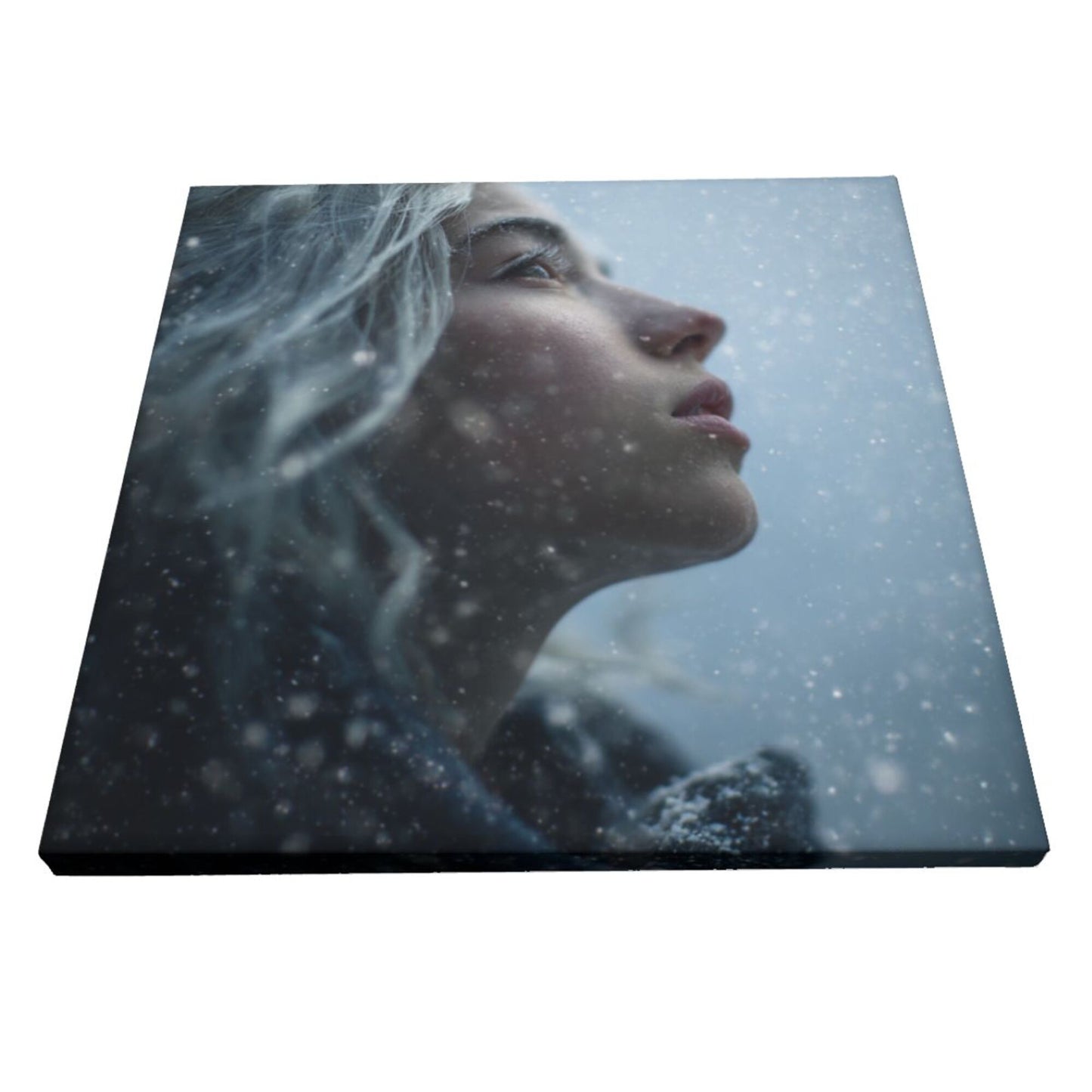 12×12 Inch Canvas Frameless Decorative Painting of Snow - Scene Character Close - up - Create a Quiet Atmosphere Home Wall Art
