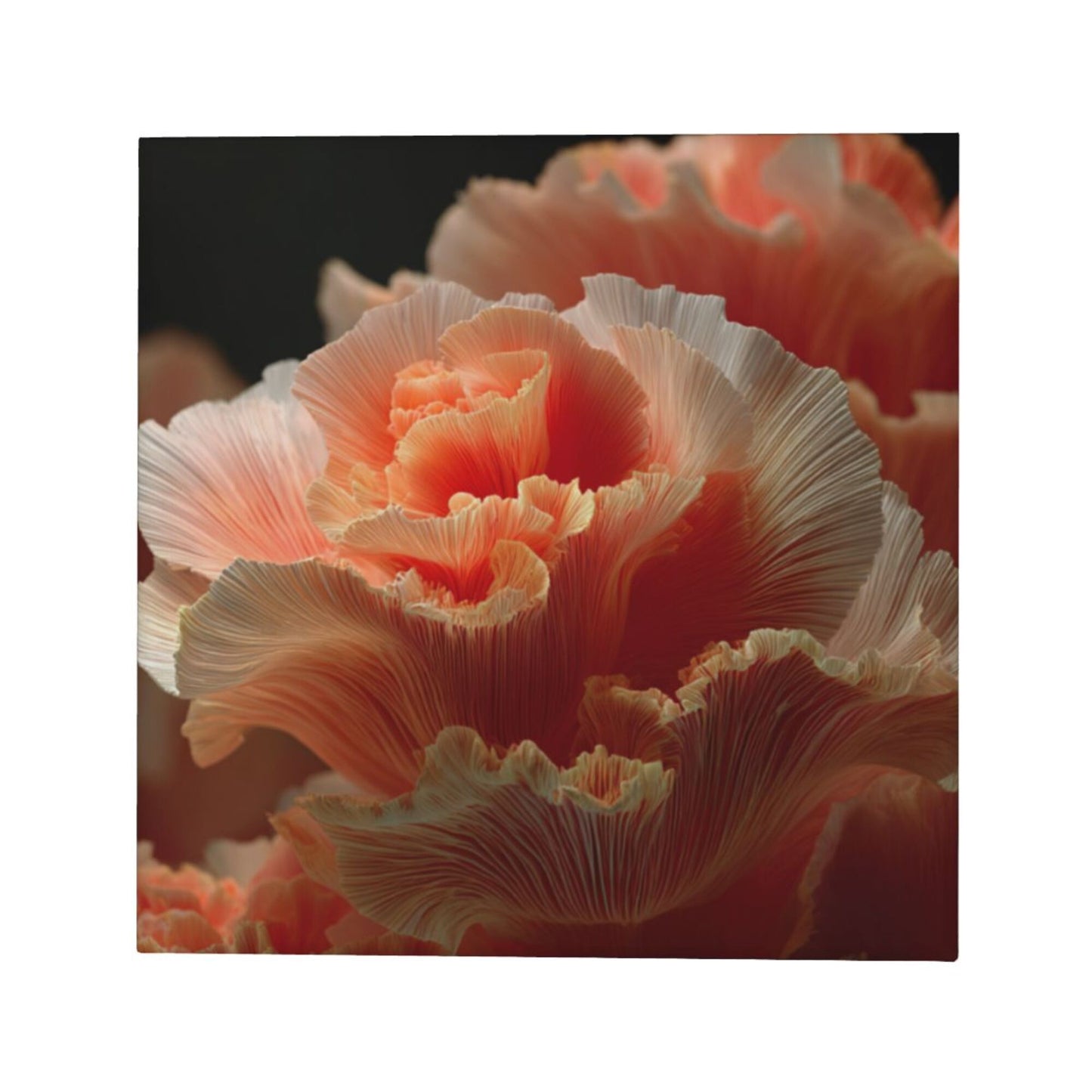 12×12 Inch Soft Gradient Petal High - Quality Canvas Frameless Decorative Painting - Romantic Floral Art Home Wall Decor