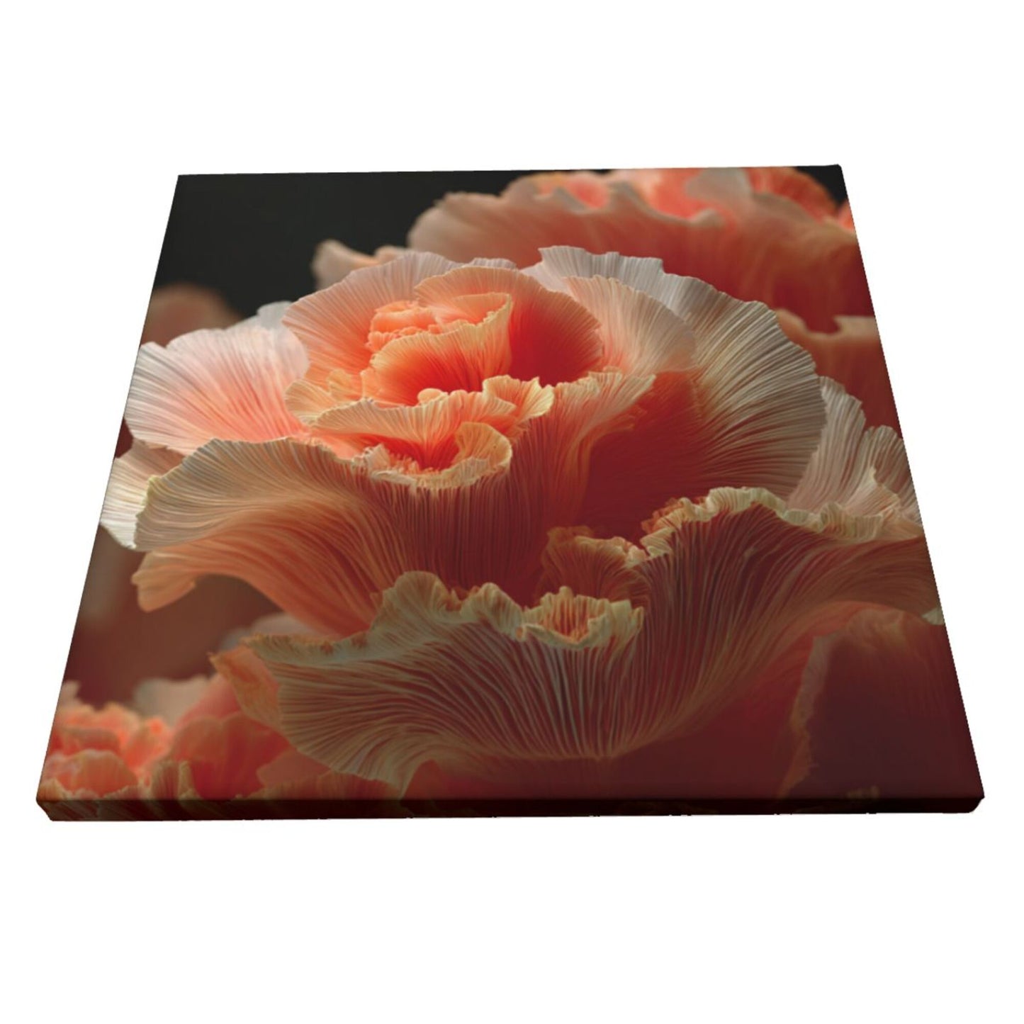 12×12 Inch Soft Gradient Petal High - Quality Canvas Frameless Decorative Painting - Romantic Floral Art Home Wall Decor